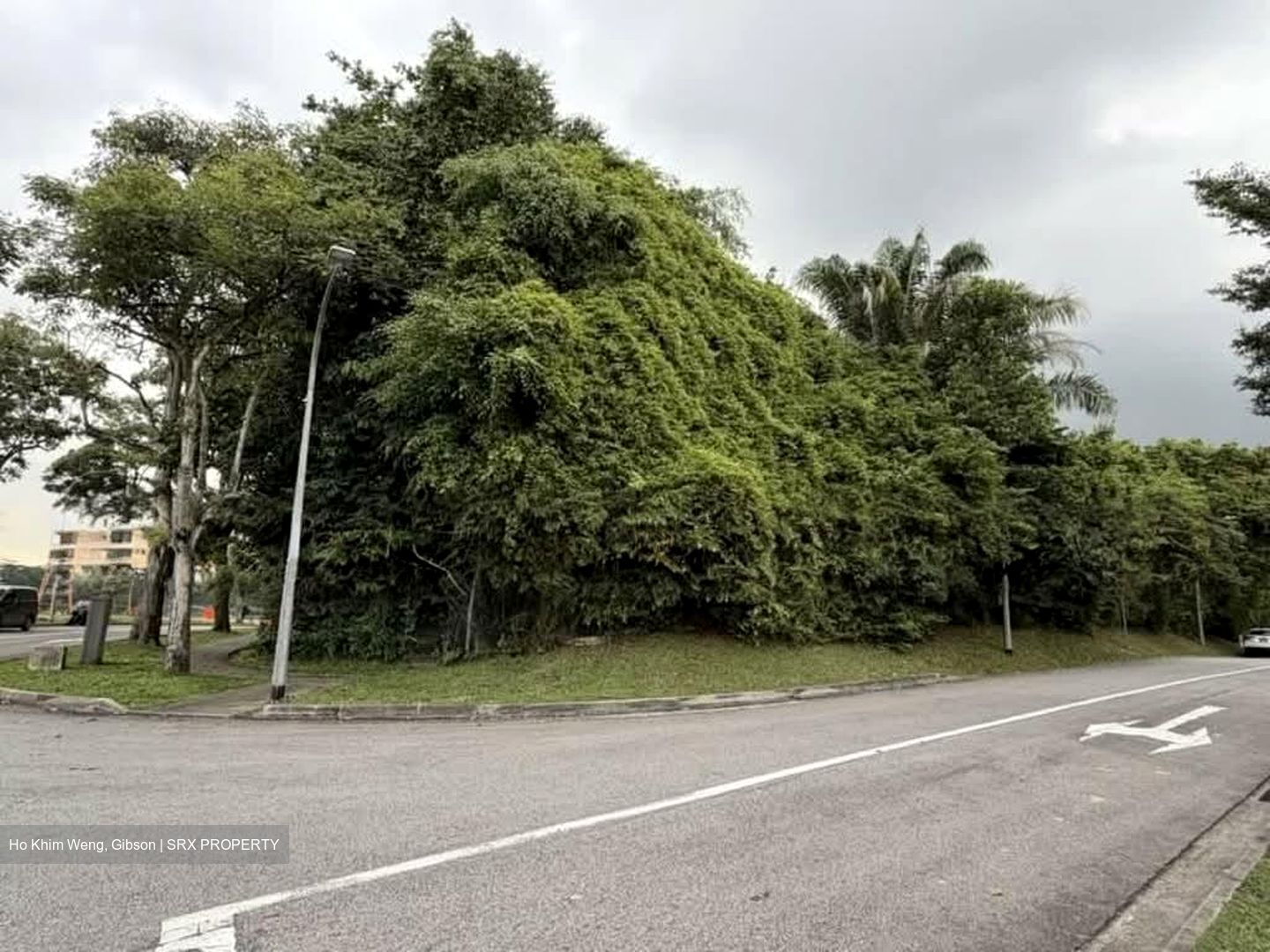 Blackmore Drive (D21), Detached #559664551